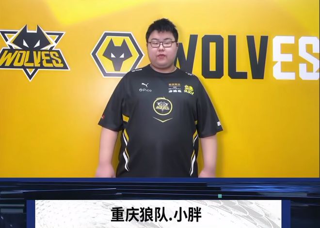 说明大多是